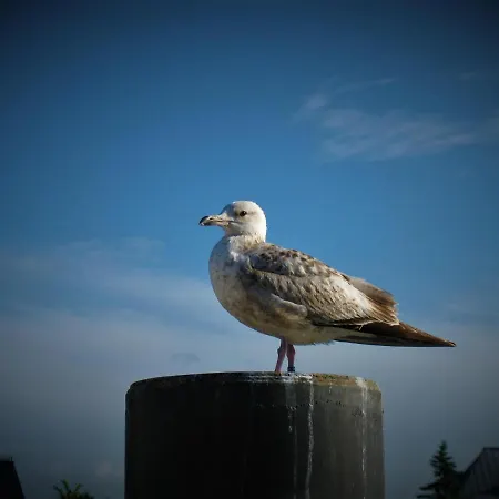 Skipper Appartement Niendorf (Timmendorfer Strand)